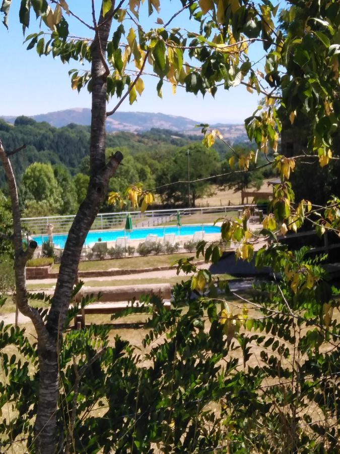 Conques-en-Rouergue Domaine Du Mas Naut Bed & Breakfast エクステリア 写真